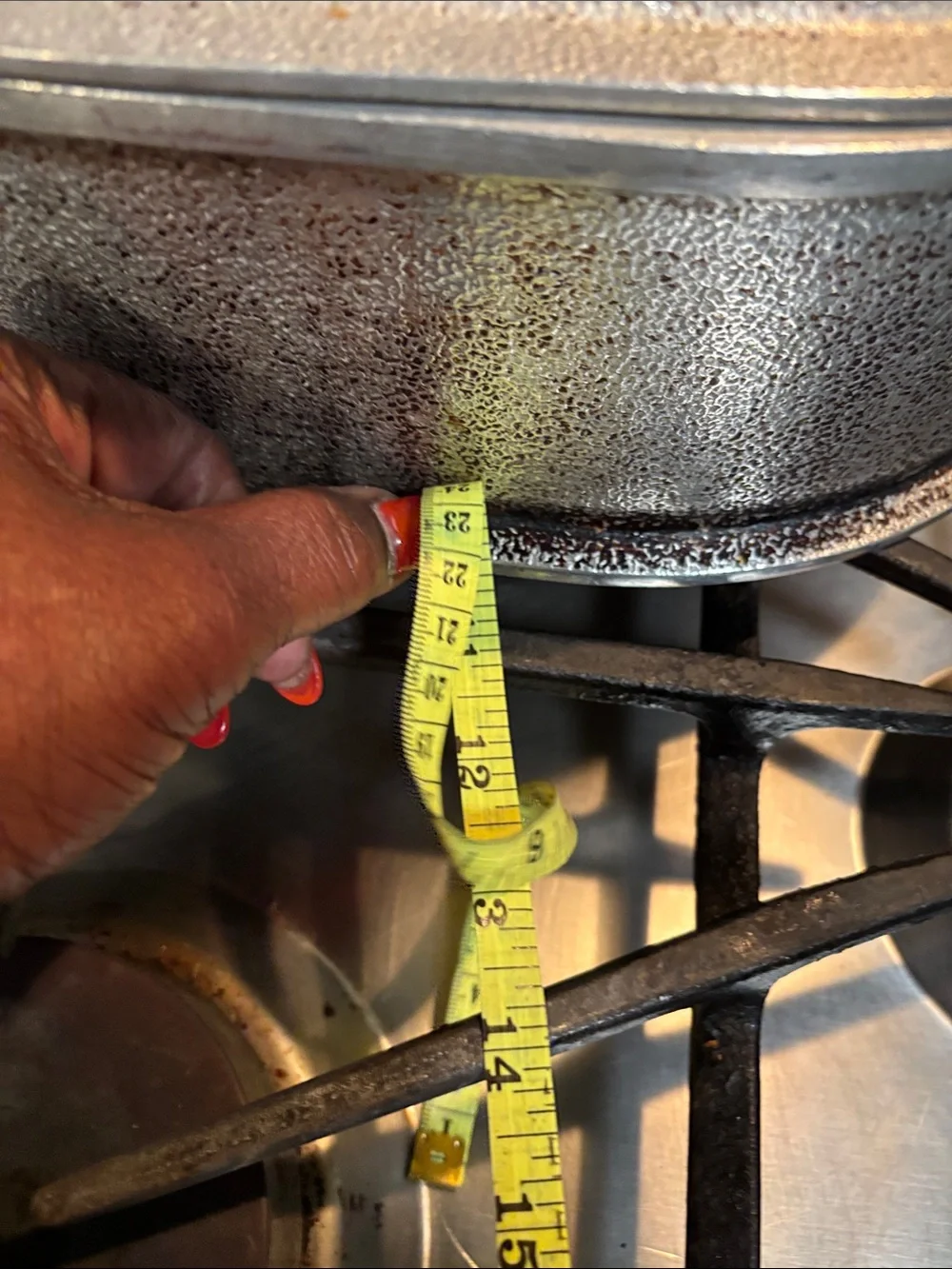 Silver Cast Aluminum Roaster with Hammered-Texture Dome Lid(Over 5lbs)